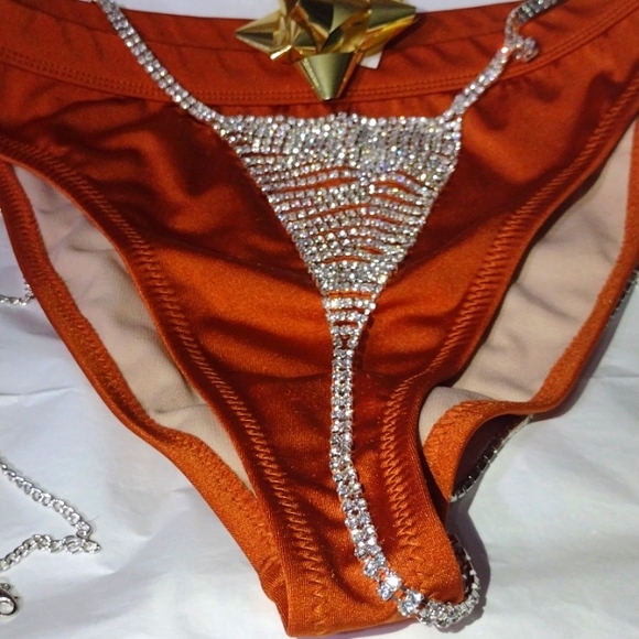 Hundreds of Swarovski Crystals Scintillate on this Bikini Bathing Adornment NWT - Picture 3 of 12